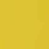 blackbird / yellow low light