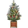 24 Inch Pre-Lit Christmas Tree, Frosted Tabletop Artificial Pine with Wooden Base, Battery Operated  Lights, Holiday Decor & Gift for Home/Office - 2 of 4