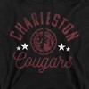 College of Charleston Official Cougars Adult Pull-Over Hoodie - 2 of 4