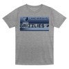 NBA Memphis Grizzlies Toddler 2pk Gray T-Shirt Set - 2 of 3