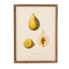 Storied Home (Set of 9) Reclaimed Wood Framed Fruit Print Wall Art Set: MDF, Modern Decor, Vertical Canvas, Sawtooth Back - 4 of 4