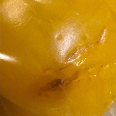 Guest review image 1 of 1, zoom in