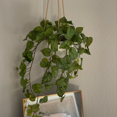 Lush Greenery 23" Artificial Pothos Hanging Bush