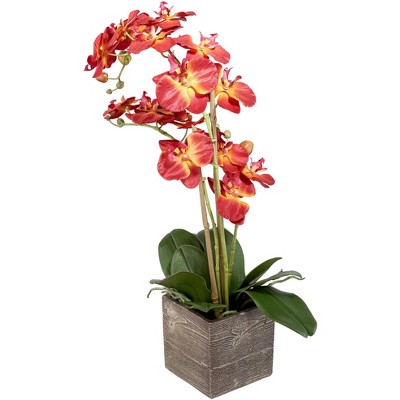 Studio 55D Red Orchid 26" High Silk Potted Plant