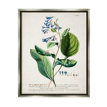 Stupell Industries Botanical Plant Illustration Blue Flowers Vintage Design
