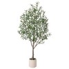 DR.Planzen 5/6FT Illuminated Artificial Olive Tree with LED Planter, Twinkling Faux Olive Tree for Christmas Holiday Decor, Indoor Festive Lighting - 4 of 4