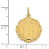 Black Bow Jewelry 14k Yellow Gold Registered Nurse Disk Charm, 18mm - 4 of 4