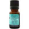 Plantlife Spruce Aromatherapy Essential Oil – 100% Pure, Therapeutic Grade, No Additives or Fillers, 10 ml - 2 of 2