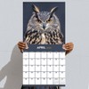 TF Publishing 13.5"x14.5" 2026 Owls Wall Calendar - 4 of 4