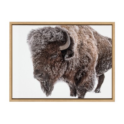 Natural Bison in Snow Canvas Print for Nursery