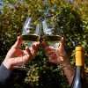 Columbia Crest Grand Estate Chardonnay White Wine - 750ml Bottle - image 2 of 4