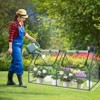 Aoodor 4 x 2 x 2 ft Mini Greenhouse with 2 Zipper Doors, Water Resistant, UV Protected for Flowers, Vegetables and Herbs - 2 of 4