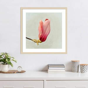 Amanti Art Magnolia Bud I by Katie Oshea Framed Wall Art Print - 1 of 4