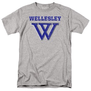 Men's Wellesley College Official Distressed Primary Logo T-Shirt - 1 of 4