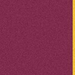 arizona state sun devils