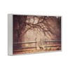 Stupell Industries Sly Guy Fox in Forest Framed Giclee Art - 2 of 4