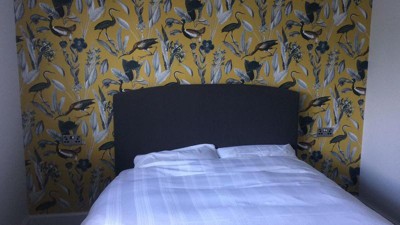 Guest review image 1 of 2, zoom in