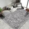 GOCAPTAIN Boho Washable Rugs for Living Room Bedroom Vintage Floral Carpet Distressed Oriental Area Rug Low Pile Soft Mat Non Slip Farmhouse Rug - 2 of 4