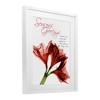 Stupell Industries Season's Greetings Holiday Amaryllis Framed Print Under Glass Art - 2 of 4