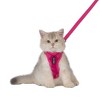 Step-in Lock Adjustable Cat Harness w. Cat Leash Combo Set with Neoprene Handle 5ft - Small, Medium and Large Breed Cats - 4 of 4