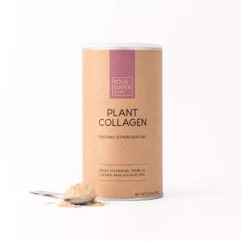 Garden Of Life Organic Vegan Protein + Greens Plant Based Shake Mix -  Vanilla - 17.4oz : Target