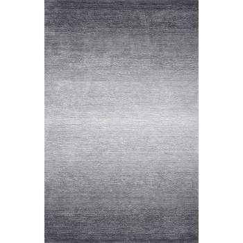 3'x5' Hand Tufted Ombre Bernetta Area Rug Gray - nuLOOM