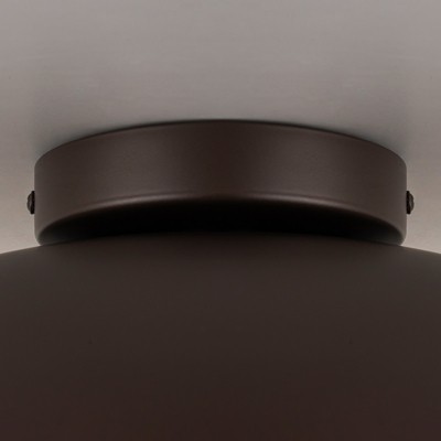 LLHZSY Flush Mount Light Fixture Ceiling Light 12 1/5" Wide