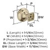 Amerock Surpass Cabinet or Furniture Knob, 1-1/4 inch (32mm) Diameter - 2 of 3