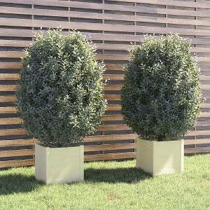 Garden Planters 2 pcs White 40x40x40 cm Solid Pinewood - 1 of 4