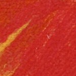 daisy orange