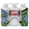 Ozarka Brand 100% Natural Spring Water - 12pk/12 fl oz Bottles - image 4 of 4