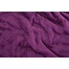 Mintra Home Blanket - 3 of 4