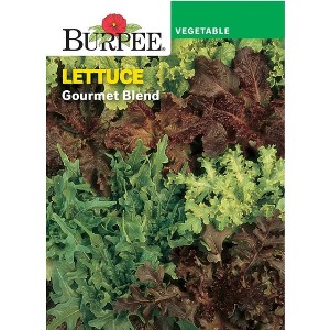 Burpee Lettuce leaf Gourmet Blend Vegetable Seeds - 1 of 2