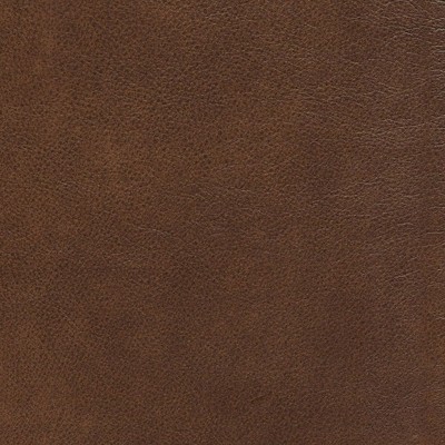 Camel Brown Genuine Leather Club Chair with Pine Frame