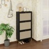 ALEXOUN Rattan 3 Door Shoe Rack - Freestanding Shoe Storage Cabinet,Easy to Assemble & Spacious Organizer for Entryway, Living Room,Porch - 4 of 4