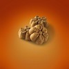 Fruitables Baked Sweet Potato & Pecan Flavor Healthy Low Calorie Baked Dog Treats - 7oz - image 3 of 4