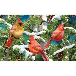 Briarwood Lane Doormat 30x18 Indoor Outdoor Snowy Cardinals Winter For Winter Doormat - 1 of 4