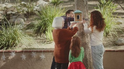 Blue and White Plastic Post-Mounted Bird Feeder with HD Camera