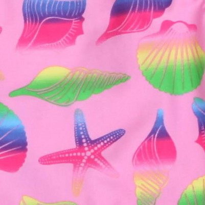 fuchsia - rainbow seashells