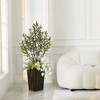 Dr.Planzen 4ft Multi-Plant Artificial Olive Tree Fake Plants with Realistic Black Olives & Mixed Foliage Indoor/Outdoor Floor Plant by DR.Planzen - 2 of 4