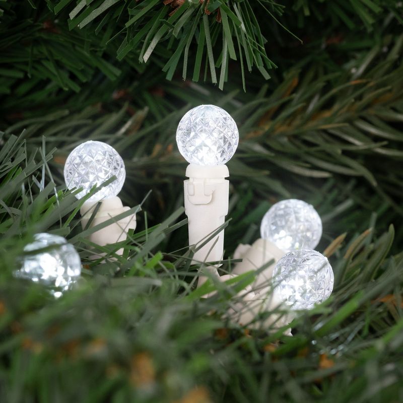 Northlight LED G12 Berry Christmas Lights - 16' White Wire - Pure White - 50 ct, 2 of 6