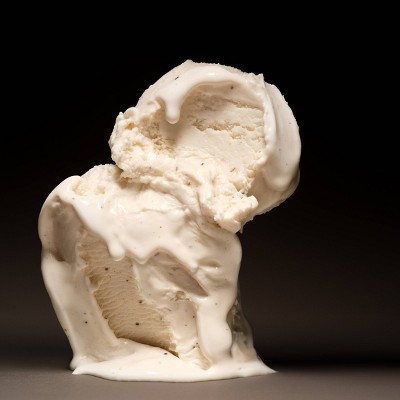 David Protein Vanilla Bean Frozen Dessert - 16oz