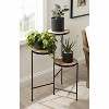 Kate and Laurel Fields Round Metal Plant Stand, 17x22x30, Black - 4 of 4