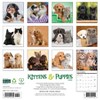 Willow Creek Press 2026 Kittens and Puppies Wall Calendar - 2 of 4
