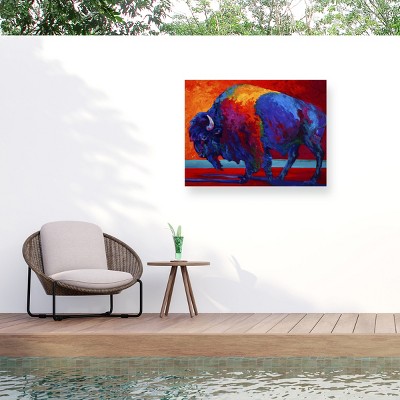 "Abstract Bison" Outdoor Canvas