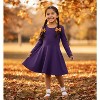 City Threads Girls Soft Jersey 100% Cotton Long Sleeve Skater Dress - USA-Made Twirly Dress for Toddlers/Kids - 2 of 4