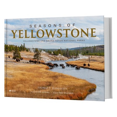 Seasons of Yellowstone - (Hardcover)