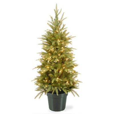 National Tree Company 4ft Weeping Spruce Tree with Clear Lights