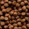 Stella & Chewy's Chicken and Turkey Flavor Wild Red Raw Coated Grain and Legume Free Dry Dog Food - 3.5lbs - 4 of 4