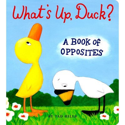 What's Up Duck? by Tad Hills (Board Book)
